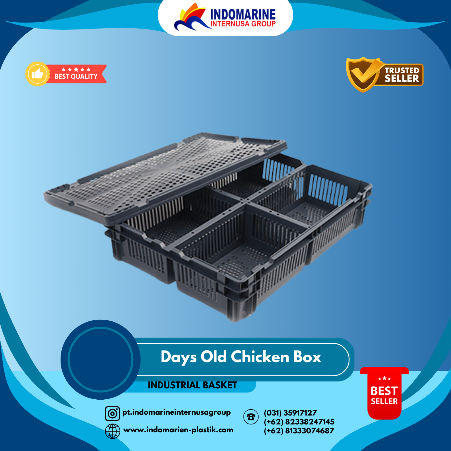 Days Old Chicken Box